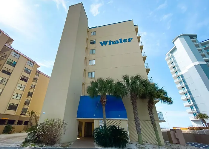 Whaler 5b